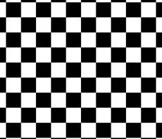 BLACK WHITE BOX