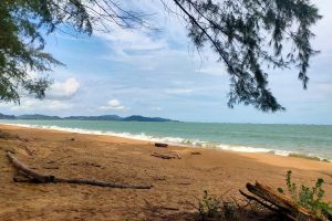 Dataran Pantai Teluk Mak Nik