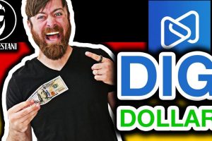 Digi Store Express Lite Mersing (Sing Net Marketing)