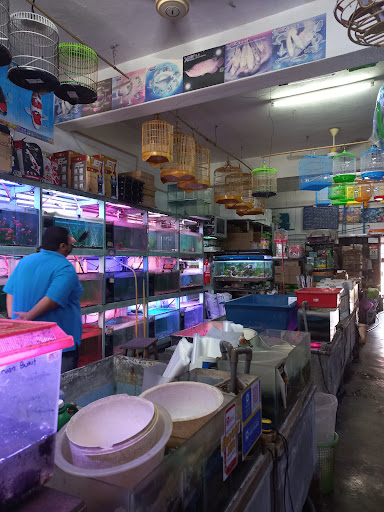 Manjung Aquarium Pets Centre (1P0155324-T) Manjung Aquarium Pets Centre (1P0155324-T)