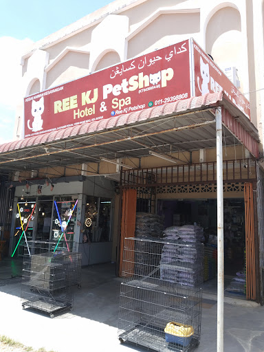 Ree Kj petshop Pasir Mas Ree Kj petshop Pasir Mas