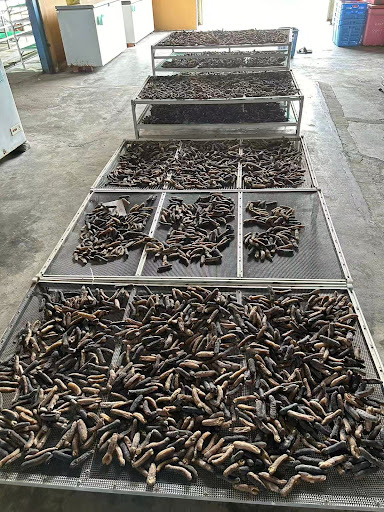 ๅพ่ฟๆตทไบง ๅพ่ฟๆตทไบง