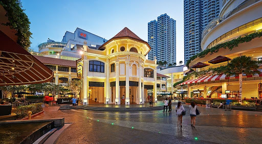 Gurney Paragon Gurney Paragon