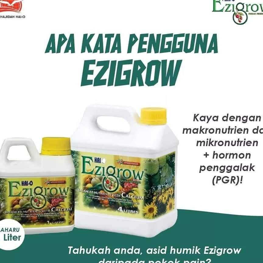 ezigrow pasir gudang