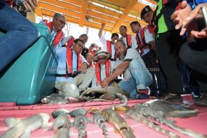 HASIL LAUT HADI