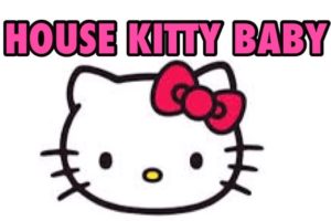 housekittybaby kuala berang