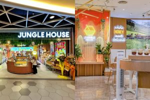 Jungle House Empire Shopping Gallery