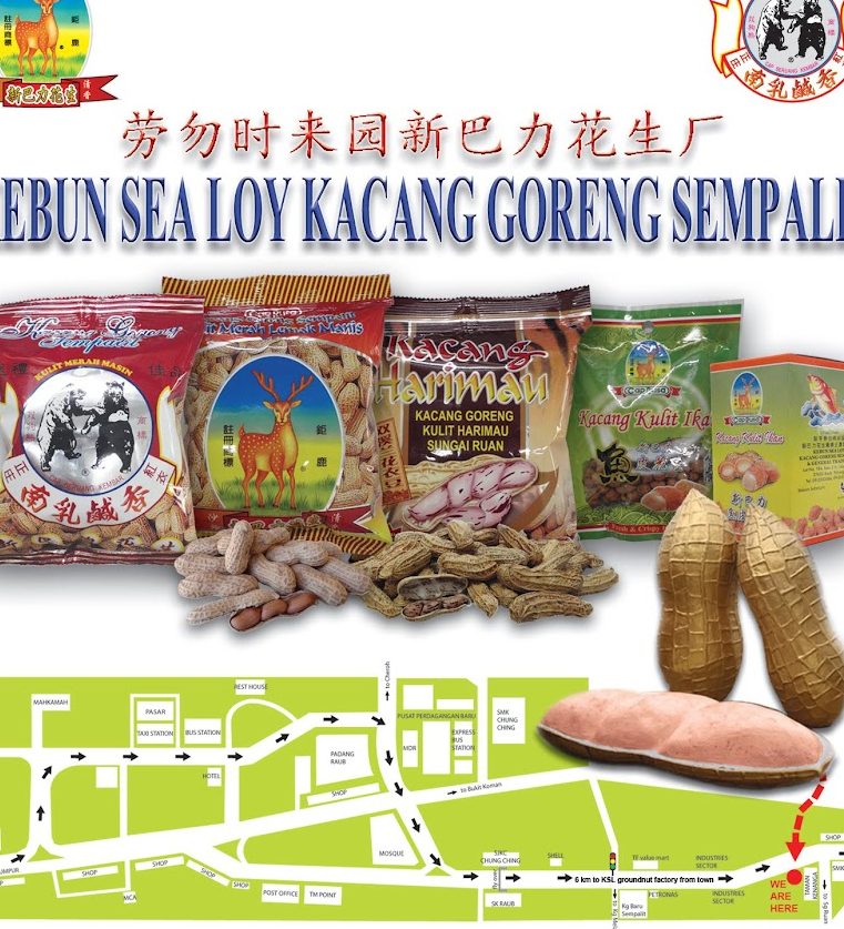 Kebun Sea Loy Kacang Goreng Sempalit 1 kebun sea loy kacang goreng sempalit