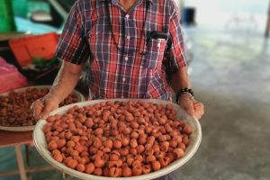 Kilang Buah Pala Ghee Hup