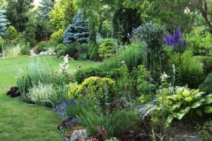 Open Space Garden