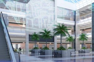 Palm Mall