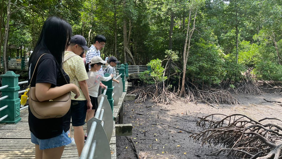 Paya Bakau Bandar ( Lumut, Perak ) 1 paya bakau bandar lumut perak
