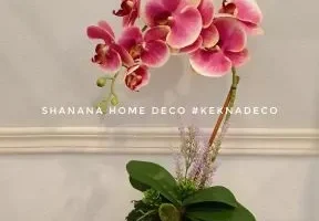 Shanana Home Deco