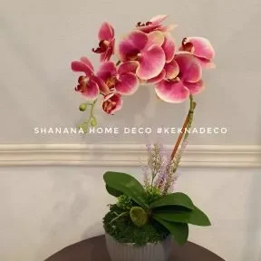 Shanana Home Deco 1 shanana home deco