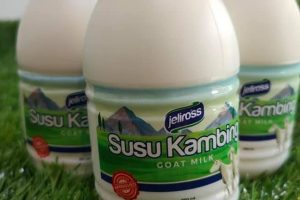 Susu Kambing Kota Bharu