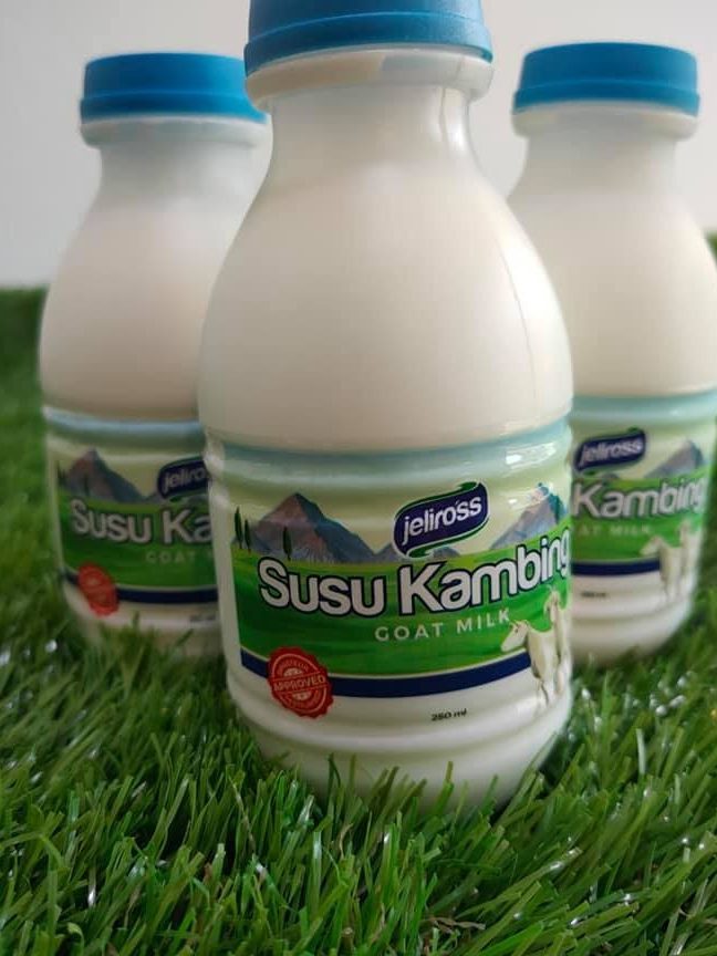 Susu Kambing Kota Bharu 1 susu kambing kota bharu