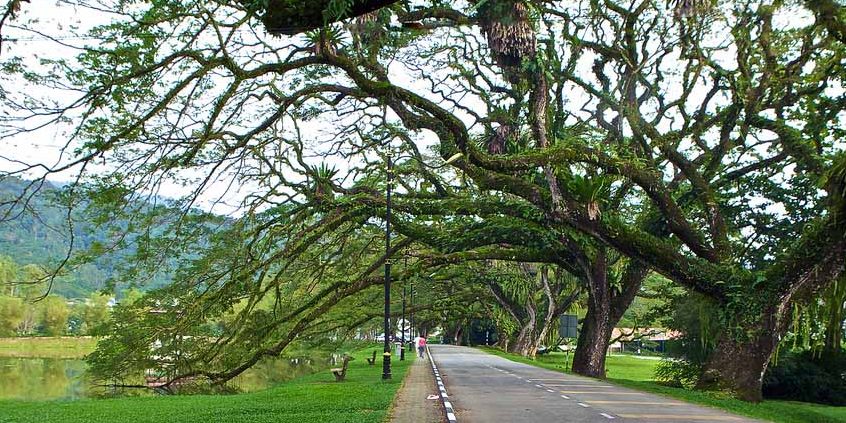 taman tasik taiping